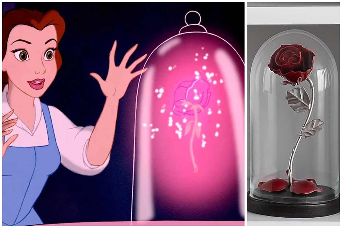 Bella e la Bestia rosa