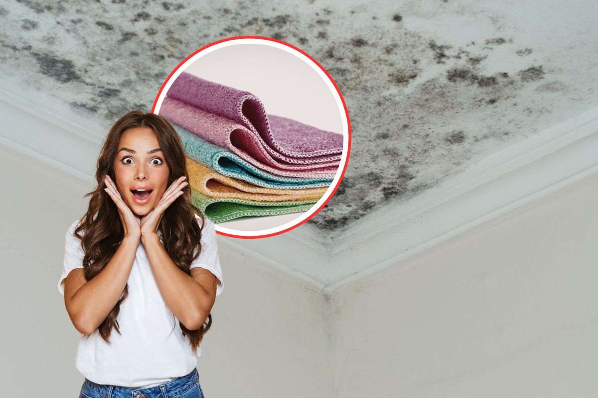 muffa al soffitto, donna stupita e panni in microfibra