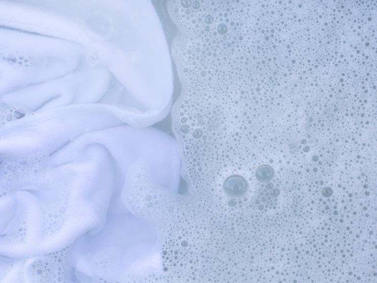 capo bianco in ammollo